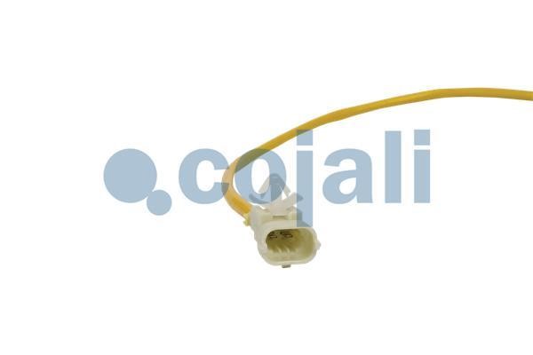 Exhaust gas temperature sensor Cojali 2262019