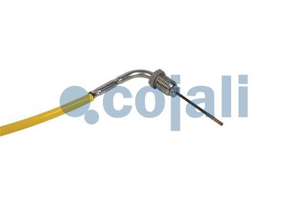 Buy Cojali 2262019 at a low price in United Arab Emirates!