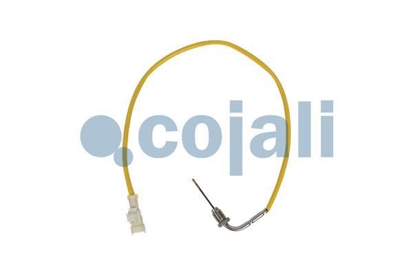 2262019 Cojali Exhaust gas temperature sensor
