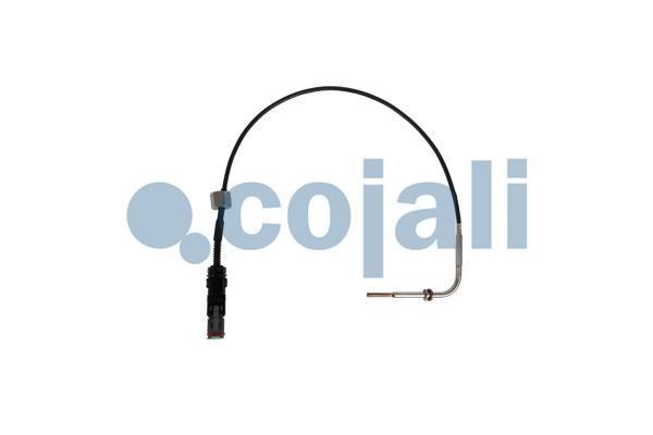 2260907 Cojali Exhaust gas temperature sensor