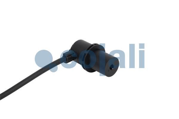 Buy Cojali 2260838 at a low price in United Arab Emirates!