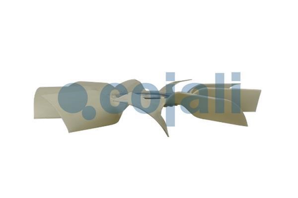 Buy Cojali 8521622 at a low price in United Arab Emirates!
