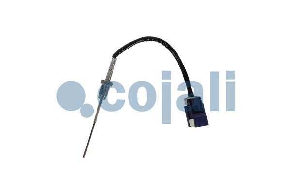 2262008 Cojali Exhaust gas temperature sensor