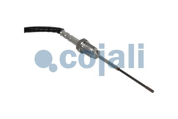 Buy Cojali 2262008 at a low price in United Arab Emirates!