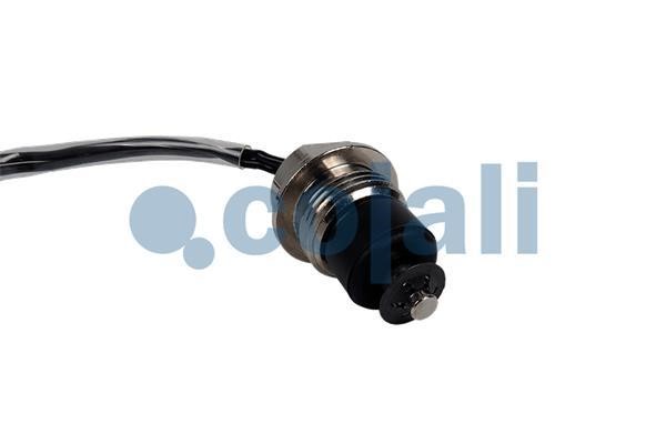 Buy Cojali 2263040 at a low price in United Arab Emirates!