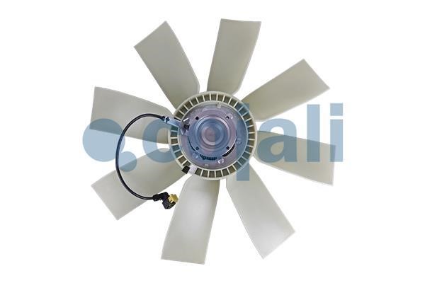 Hub, engine cooling fan wheel Cojali 7085419