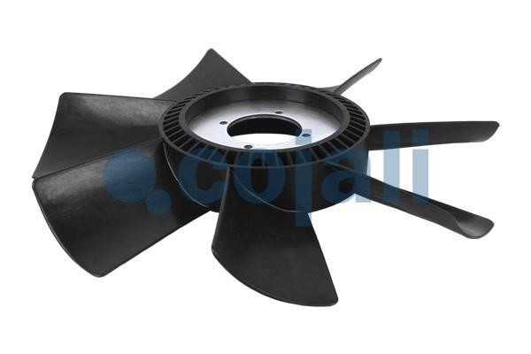 Buy Cojali 8521638 – good price at EXIST.AE!