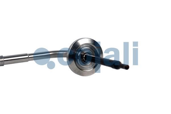 Buy Cojali 2260895 at a low price in United Arab Emirates!