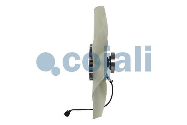Buy Cojali 7085410 at a low price in United Arab Emirates!