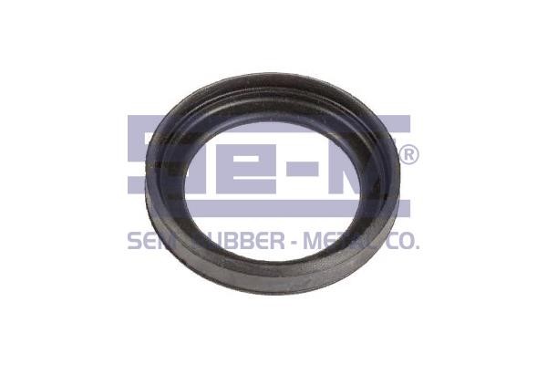 Se-m 15015 Seal Ring, brake shoe 15015