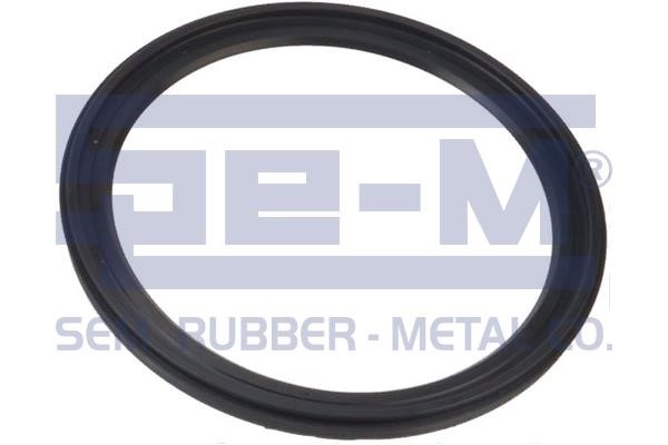 Se-m 15011 Shaft Seal, wheel hub 15011