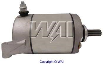 Wai Starter – price 250 PLN