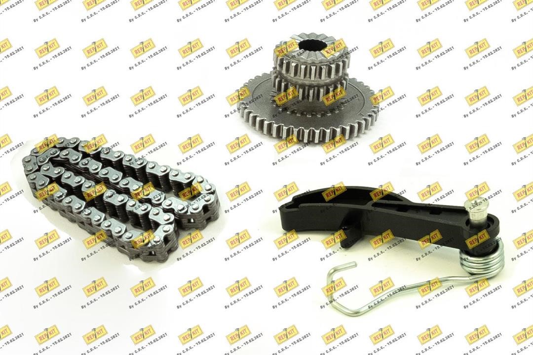 Repkit RKT89141K Timing chain kit RKT89141K