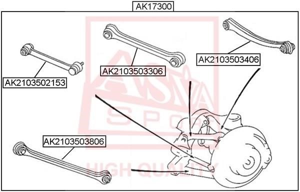 Asva AK17300 Control arm kit AK17300