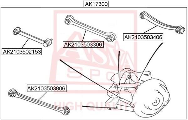 Asva AK2103503406 Track Control Arm AK2103503406