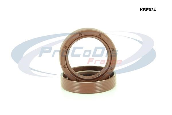 Procodis France KBE024 Shaft Seal Set, engine KBE024