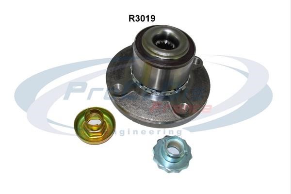 Procodis France R3019 Wheel bearing kit R3019