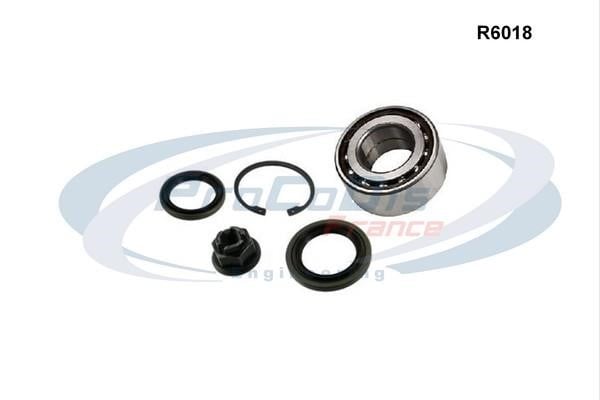Procodis France R6018 Wheel bearing kit R6018