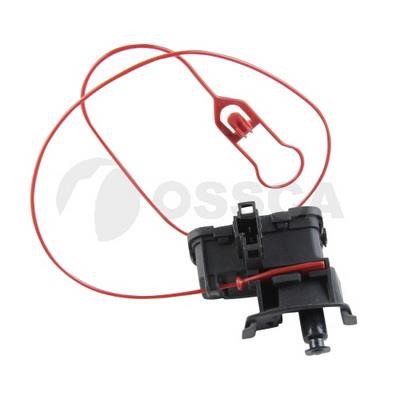 47480 Ossca Fuel Door Assembly