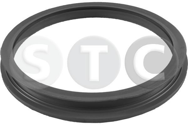 STC T447603 Seal, fuel filler neck T447603