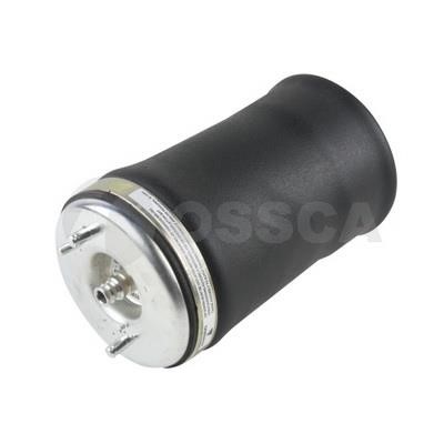 17044 Ossca Air Spring, suspension