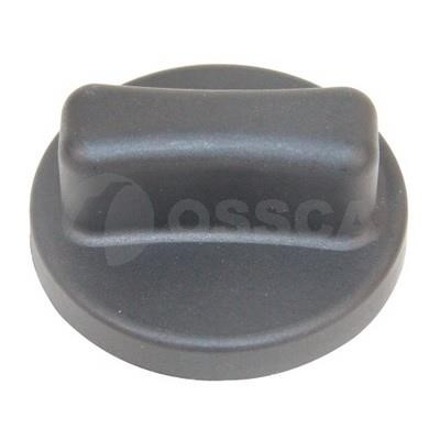 Ossca 41506 Fuel Door Assembly 41506