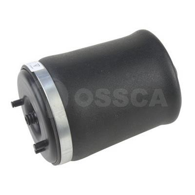 17045 Ossca Air Spring, suspension