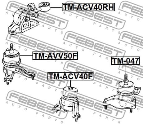 Buy Febest TM-AVV50F at a low price in United Arab Emirates!