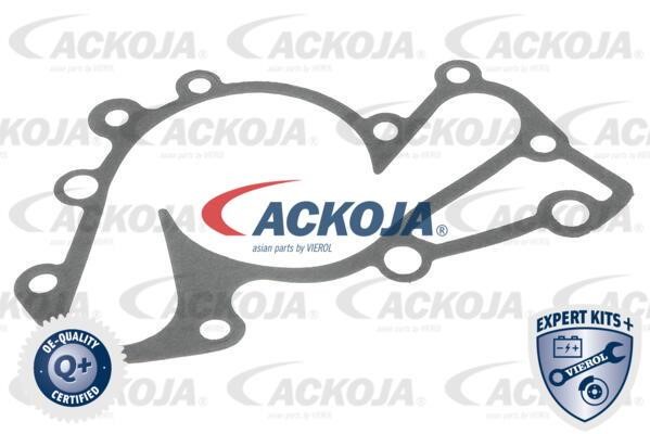 Buy Ackoja A52-0711 at a low price in United Arab Emirates!
