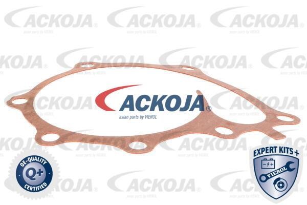 Buy Ackoja A53-0702 at a low price in United Arab Emirates!