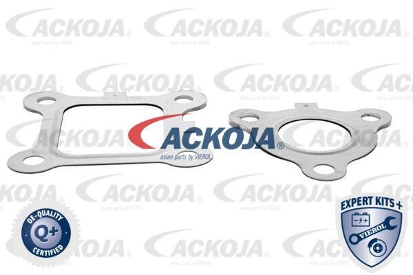 Buy Ackoja A53-63-0001 at a low price in United Arab Emirates!