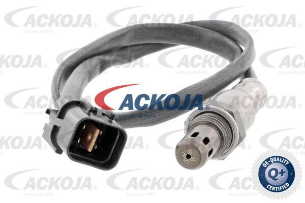 Ackoja A52-76-0019 Sensor A52760019