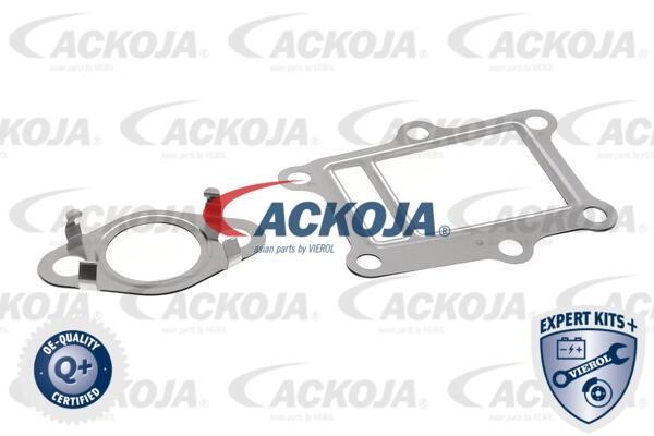 Buy Ackoja A52-63-0013 at a low price in United Arab Emirates!