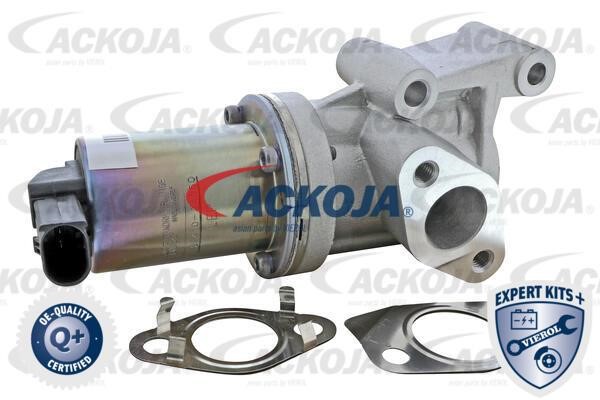 Ackoja A52-63-0020 Valve A52630020