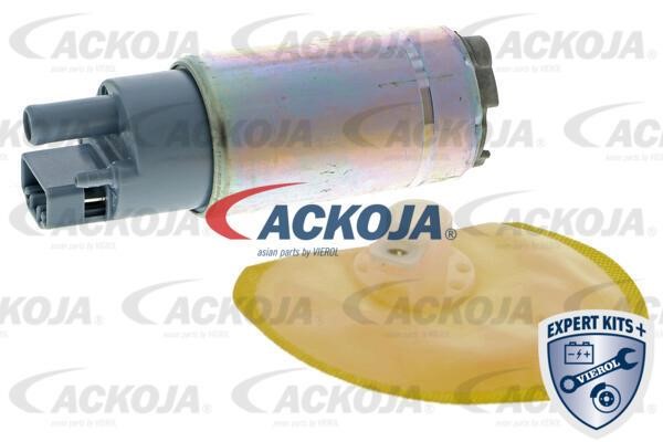 Ackoja A52-09-0013 Fuel Pump A52090013