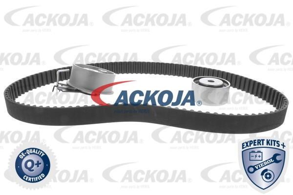 Ackoja A52-0203 Timing Belt Kit A520203