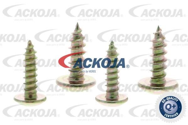 Cabin filter Ackoja A37-31-0003