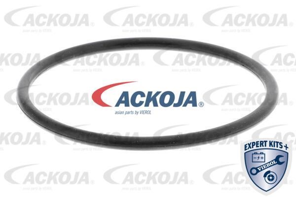 Buy Ackoja A52-0708 at a low price in United Arab Emirates!