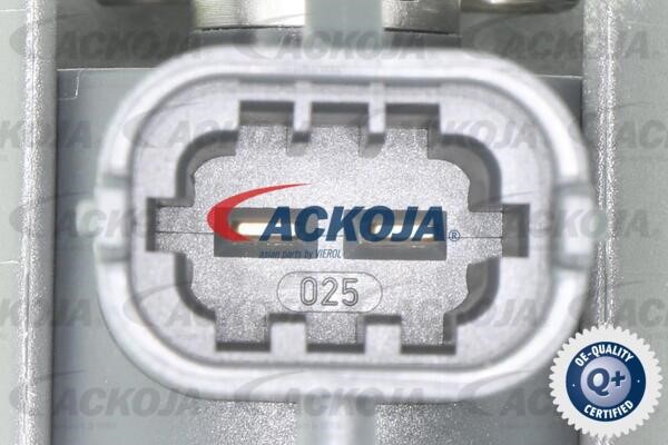 Buy Ackoja A52-11-0010 at a low price in United Arab Emirates!