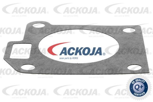 Pipe branch Ackoja A53-81-0006