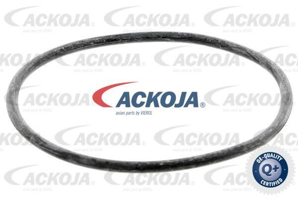 Buy Ackoja A38-0503 at a low price in United Arab Emirates!