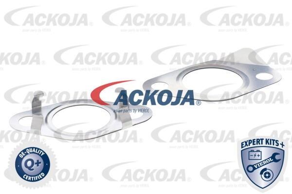 Buy Ackoja A52-63-0006 at a low price in United Arab Emirates!