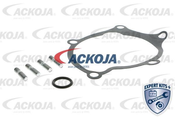 Buy Ackoja A52-50007 at a low price in United Arab Emirates!