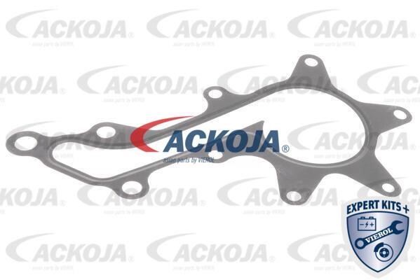 Buy Ackoja A70-50025 at a low price in United Arab Emirates!