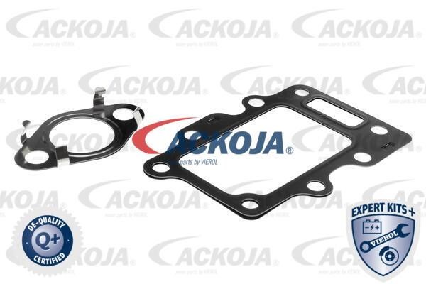 Buy Ackoja A52-63-0016 at a low price in United Arab Emirates!