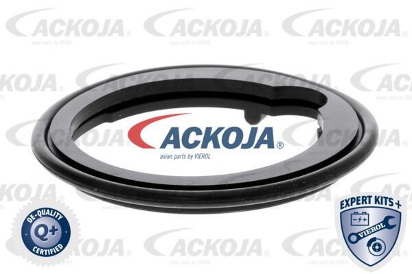 Buy Ackoja A26-99-0007 at a low price in United Arab Emirates!