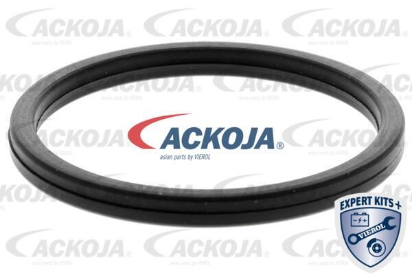 Buy Ackoja A52-60-0010 at a low price in United Arab Emirates!