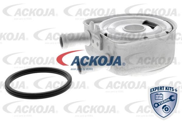 Ackoja A52-60-0010 Oil Cooler, engine oil A52600010