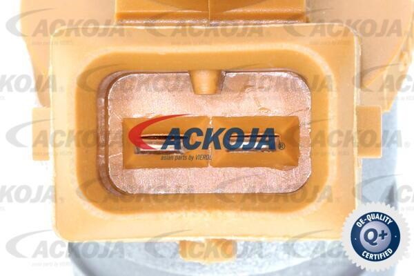Buy Ackoja A51-11-0001 at a low price in United Arab Emirates!
