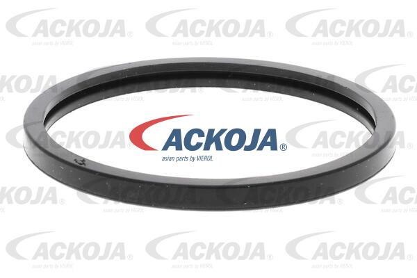Buy Ackoja A38-99-0003 at a low price in United Arab Emirates!